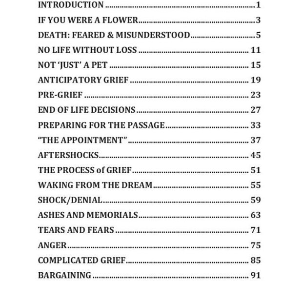 Only Gone From Your Sight: Jack McAfghan's Little Guide to Pet Loss and Grief - Picture 5 of 6